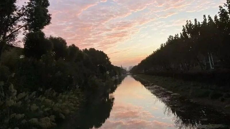 公司公章使用责任归属：规范操作，防范风险