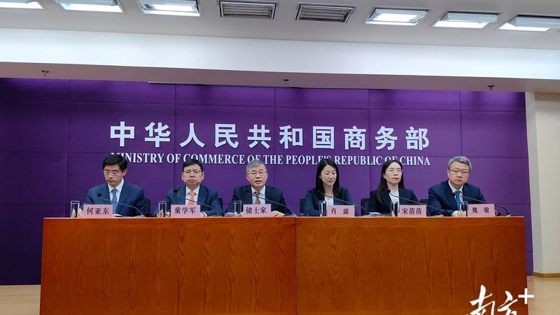 商标注册申请为何会被驳回？揭秘常见原因及应对策略